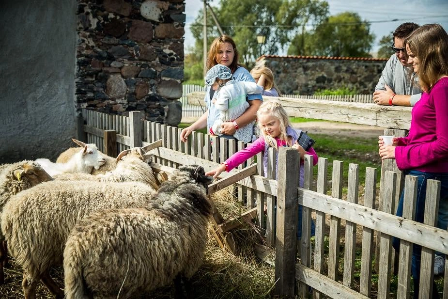 Lieliska atpūta ģimenēm! Uzziniet visu, ko Pakrojas muiža piedāvā bērniem. Atklājiet aizraujošas aktivitātes un noderīgus ieteikumus jaukām brīvdienām.